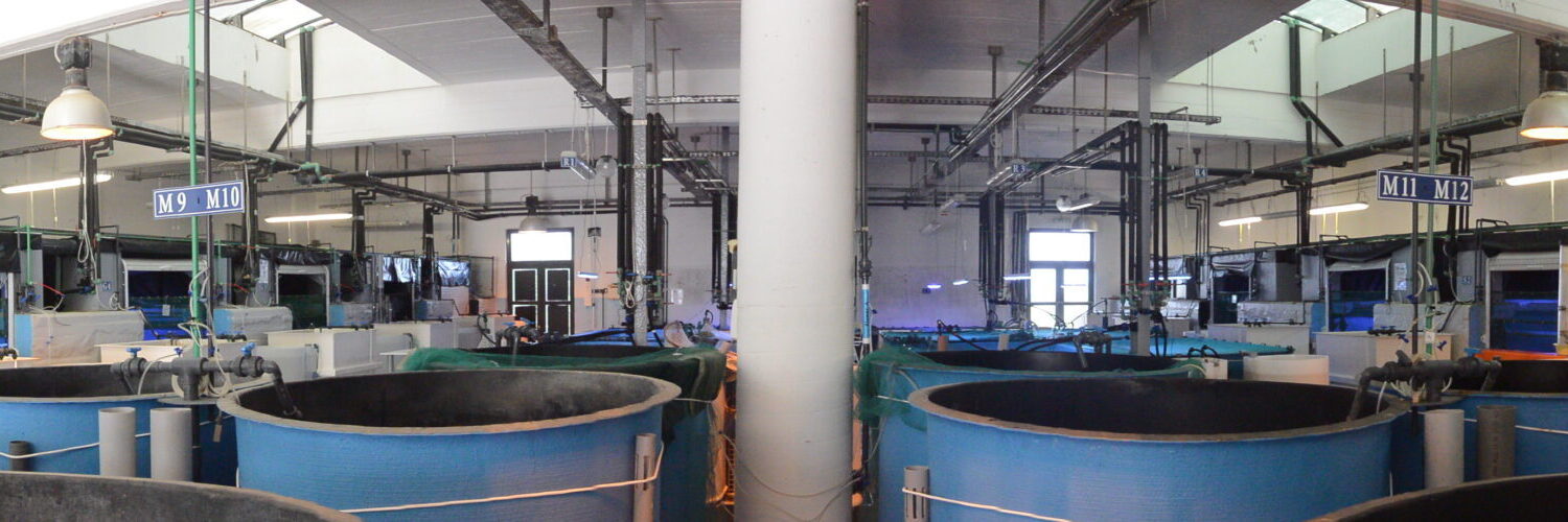 Aquaculture facilities