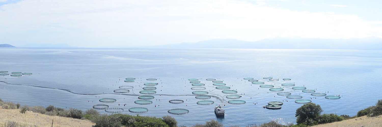 Marine aquaculture